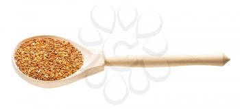 chumiza siberian millet seeds in wooden spoon isolated on white background