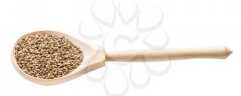 whole-grain barnyard millet seeds in wooden spoon isolated on white background