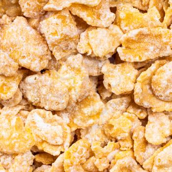 square food background - raw sugar coated cornflakes close up