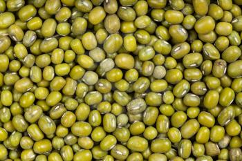 food background - raw green mung beans