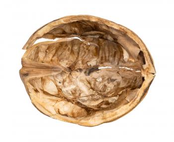 top view of empty walnut shell isolated on white background