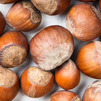 square food background - whole hazelnuts close up
