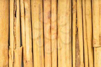 food background - several sticks of alba premium ceylon cinnamon