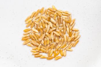 top view of pile of Kamut Khorasan wheat grains close up on gray ceramic plate
