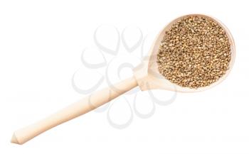 top view of whole-grain barnyard millet seeds in wood spoon isolated on white background