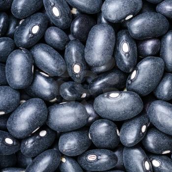 square food background - uncooked black mexico beans close up