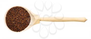 top view of wood spoon with raw canihua grains isolated on white background