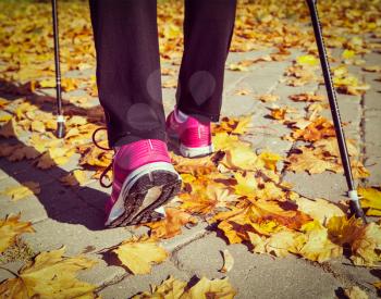 Vintage retro effect filtered hipster style image of nordic walking: adventure and exercising concept - woman hiking, legs and nordic walking poles in autumn nature