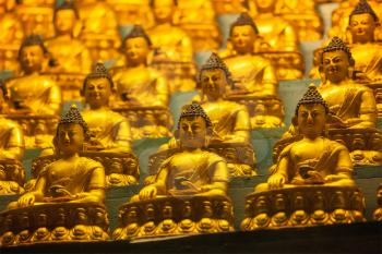 Buddha Sakyamuni statues in Tibetan Buddhist temple. Himachal Pradesh, India