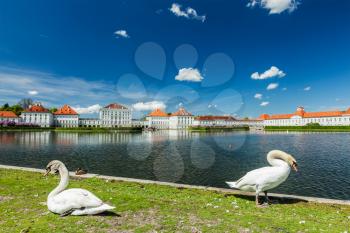 Swans in garden in front of the Nymphenburg Palace. Munich, Bavaria, Germany
