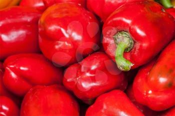 Red Capsicum Bell peppers close up