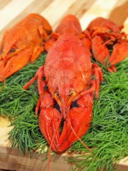 Red boiled crawfishes and green fennel on a cutting board taken closeup.