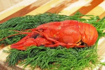 Red boiled crawfish and green dill on a cutting board.
