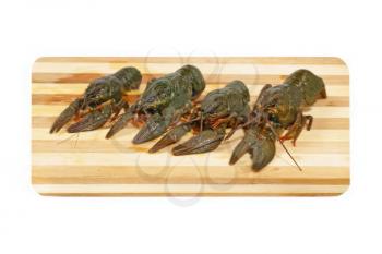 Four uncooked crawfishes on a wooden board isolated on white background.
