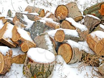 Pile of frozen logs in winter.