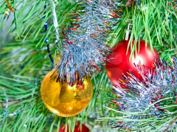Colorful Christmas balls on a pine branch taken closeup.