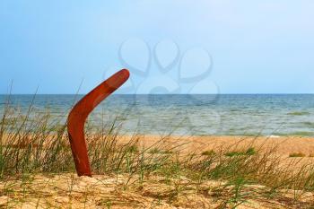 Brown boomerang on overgrown sandy beach against blue sea and sky.