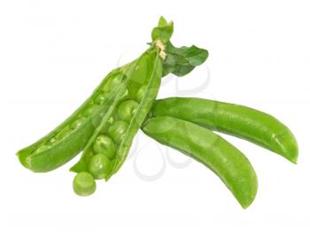 Green pea isolated on white background.