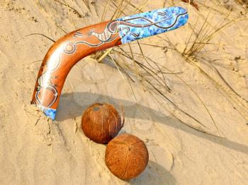 Colorful boomerang and coconuts on a sand. 