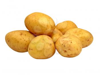 Ripe potatoes isolated on white background.