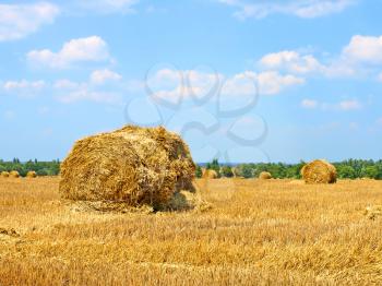 Stack of hay on the mown field against blue sky. 