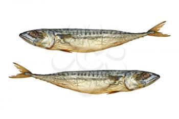 Pisces.Two cold smoked mackerel isolated on white background.
