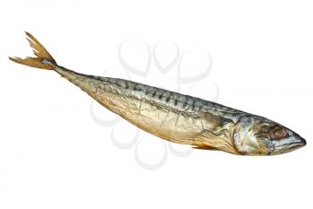 Cold smoked mackerel isolated on white background.