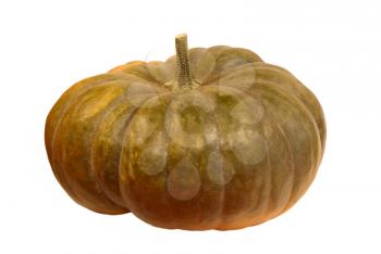 Ripe green pumpkin isolated on white background.