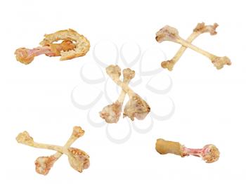 Set of picked bones isolated on white background.
