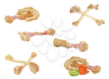 Set of picked bones and waste isolated on white background.