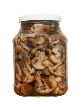 Appetizing tinned mushrooms in glass jar isolated on white background.