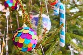 Multicolored Christmas ball and Santa cane on pine branch taken closeup.