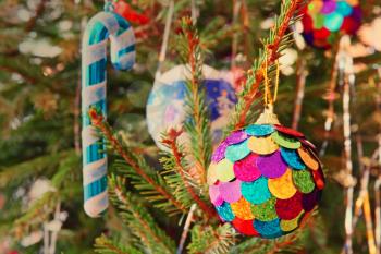 Multicolored Christmas ball on a pine branch.Toned image.