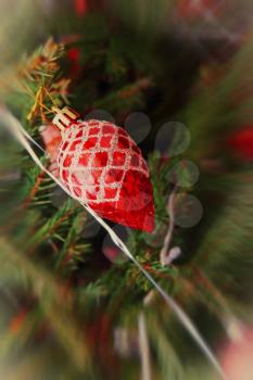 Red Christmas balls on a pine branch with soft bokeh.