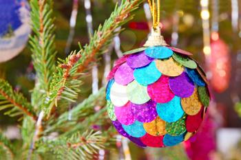 Multicolored Christmas ball on spruce branch taken closeup.