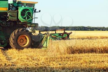 Combine harvester working in wheat field.