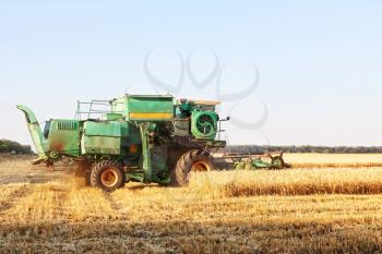 Combine harvester working on summer wheat field.