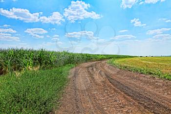 Summer landscape with rural road and blue cloudy sky.