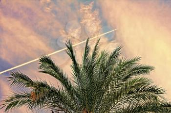 Fighter aircraft fuel trace in dramatic turkish sky over palm tree.Toned image.