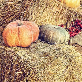 Thanksgiving Display of Pumpkin on hay bale taken closeup.Retro style toned image.