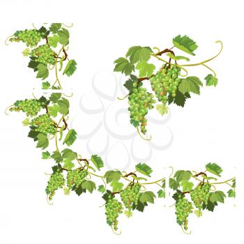 Set of Grapes frame, vignette and repeated element  for wine labels or menu design. Isolated on white background.