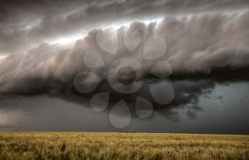 Storm Clouds Saskatchewan over planted wheat fields