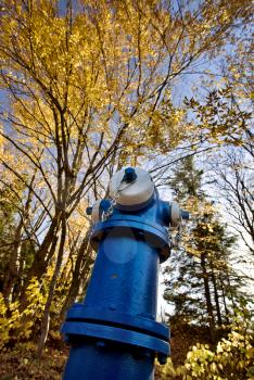 Fire Hydrant Blue and Autumn Colrors fall