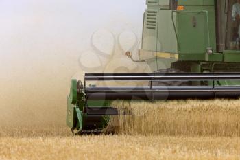 Close up combining wheat Saskatchewan Canada