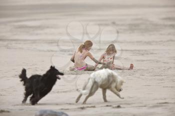 Dogs and girls at beach