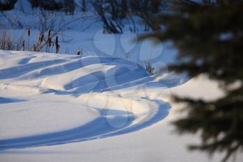 Snow Tracks in Winter Canada