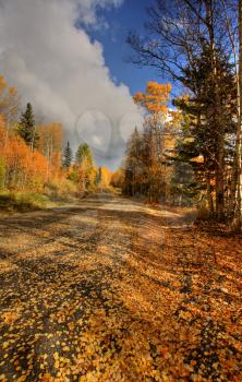 clouds and autumn leaves along British Columbia backroad