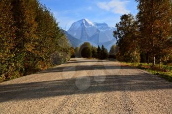 Road view of the Mount Robson