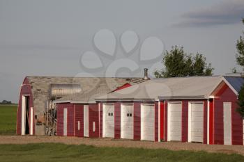 neat farm buildings in Saskatchewan