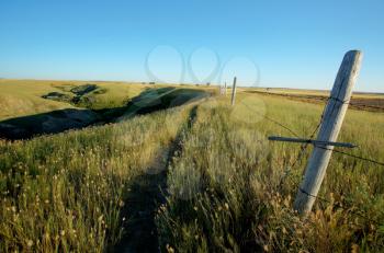 Fenced off Saskatchewan coulee